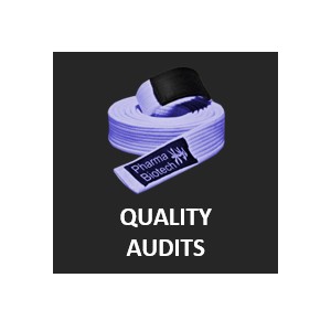 Quality Audits